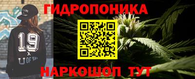 ПСИЛОЦИБИНОВЫЕ ГРИБЫ Канаш