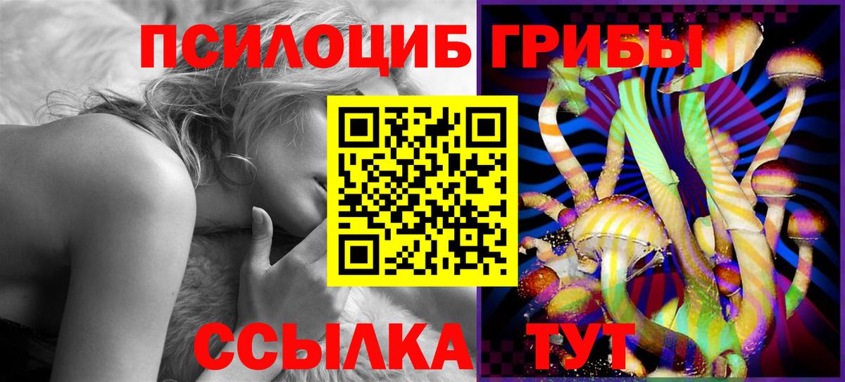 Крымск  Псилоцибиновые грибы Cubensis  Вход с VPN 